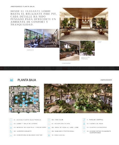 Departamentos en Preventa en el ❤️ de Playa del Carmen — foto 3